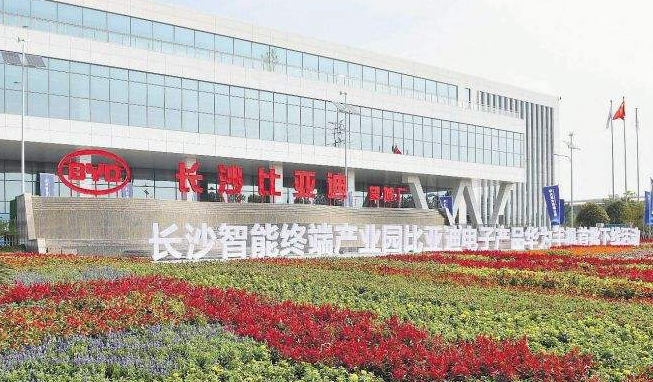 图片1